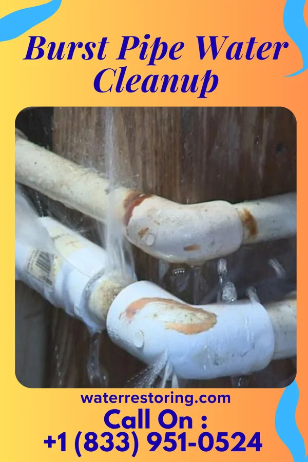 Burst Pipe Water Cleanup in Baldwin, LA