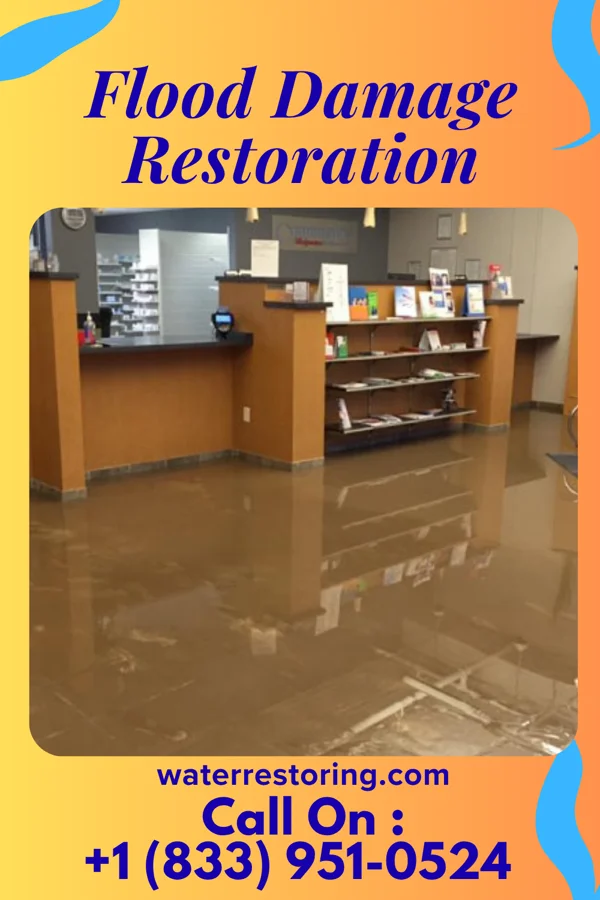 Flood Damage Restoration in Baldwin, LA