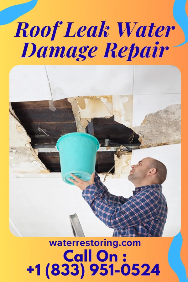 Roof Leak Water Damage Repair in Baldwin, LA