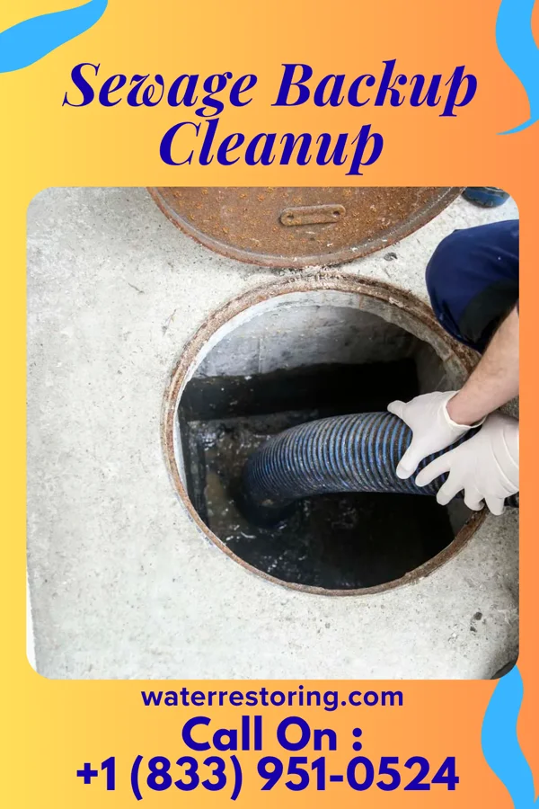 Sewage Backup Cleanup in Baldwin, LA
