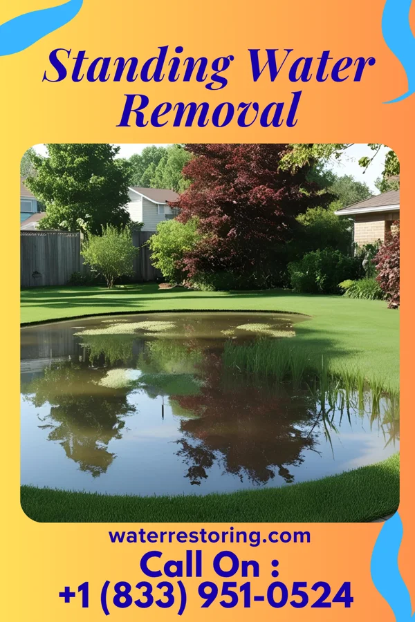 Standing Water Removal in Baldwin, LA